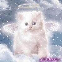 glittery_angel_kitten.gif